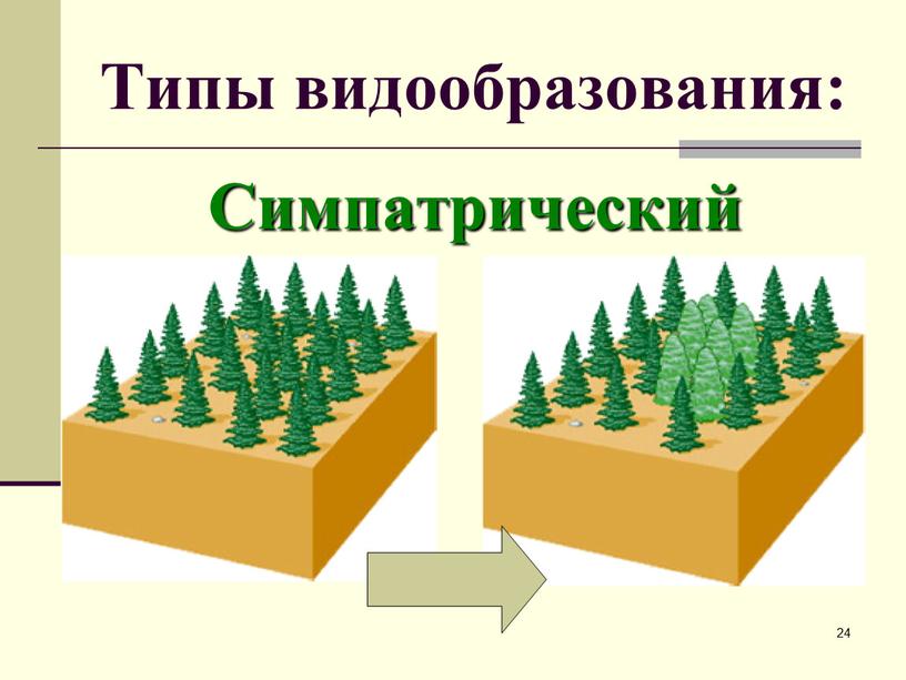 Типы видообразования: Симпатрический