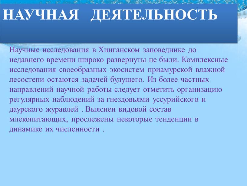 Научные исследования в Хинганском заповеднике до недавнего времени широко развернуты не были