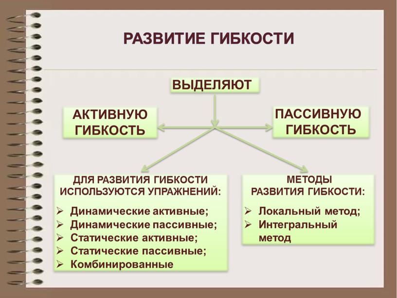 Развитие гибкости АКТИВНУЮ ГИБКОСТЬ