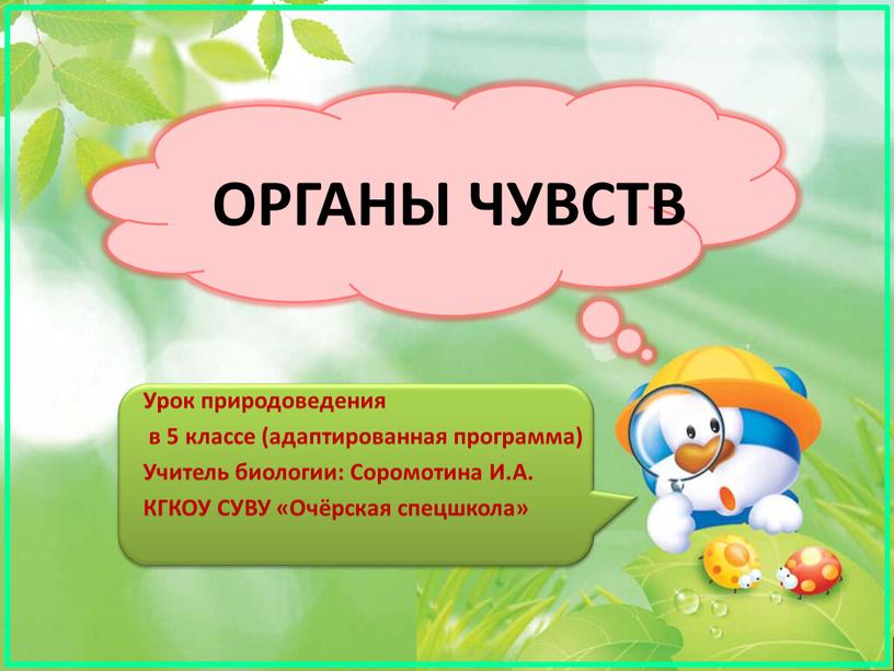 ОРГАНЫ ЧУВСТВ Урок природоведения в 5 классе (адаптированная программа)