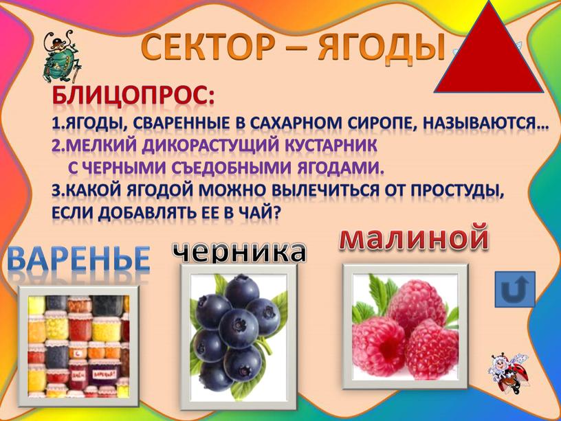 СЕКТОР – ЯГОДЫ Блицопрос: 1.ягоды, сваренные в сахарном сиропе, называются… 2
