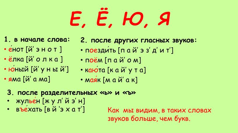 Е, Ё, Ю, Я 1. в нача­ле сло­ва: е́нот [й’ э н о т ] ёлка [й’ о л к а ] ю́ный [й’ у…