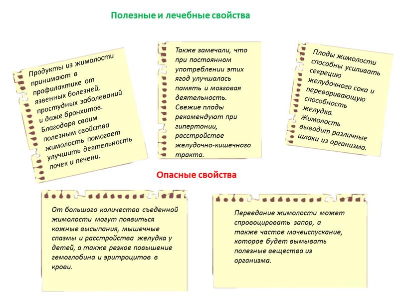 Продукты из жимолости принимают в профилактике от язвенных болезней, простудных заболеваний и даже бронхитов