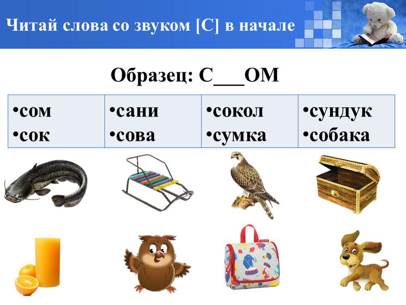 Читай слова со звуком [С] в начале сом сок сани сова сокол сумка сундук собака