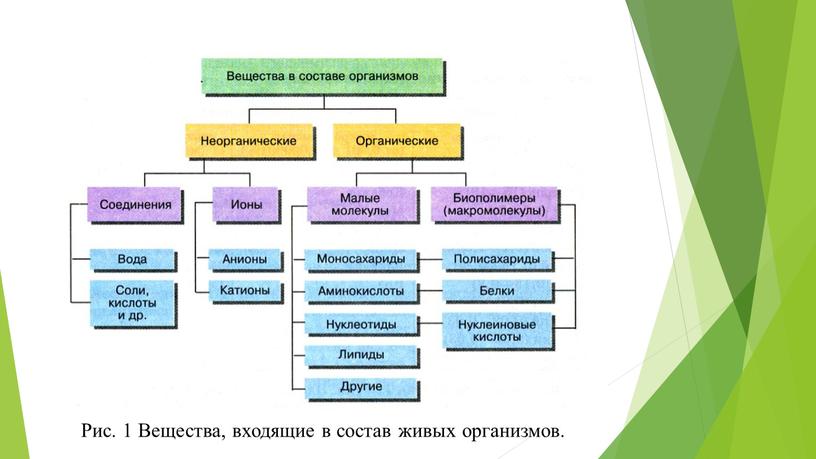 Рис. 1 Вещества, входящие в состав живых организмов