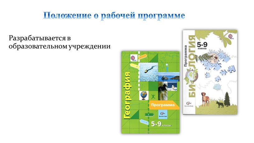 Положение о рабочей программе Разрабатывается в образовательном учреждении