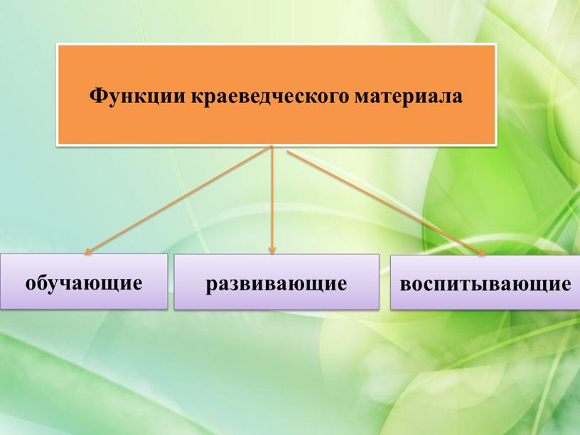 Функции краеведческого материала воспитывающие развивающие обучающие