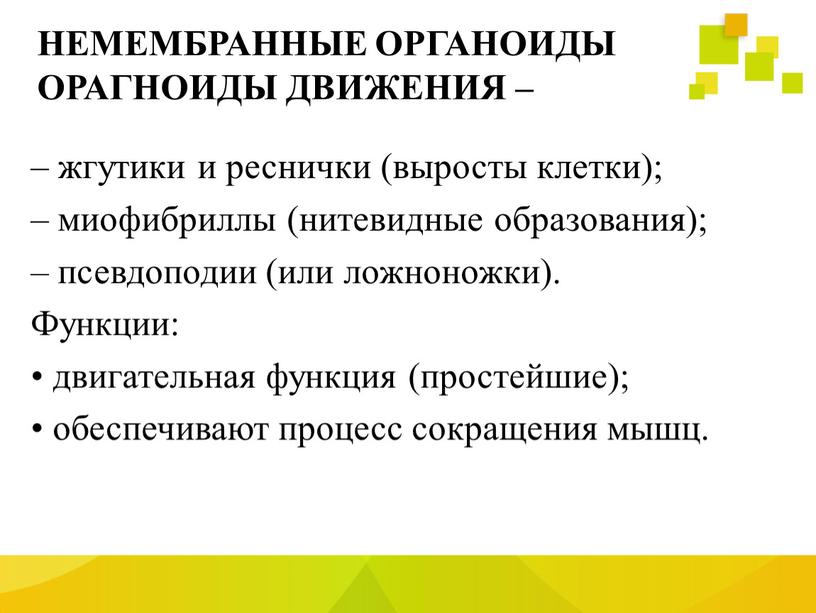 НЕМЕМБРАННЫЕ ОРГАНОИДЫ ОРАГНОИДЫ