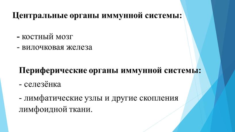 Центральные органы иммунной системы: - костный мозг - вилочковая железа