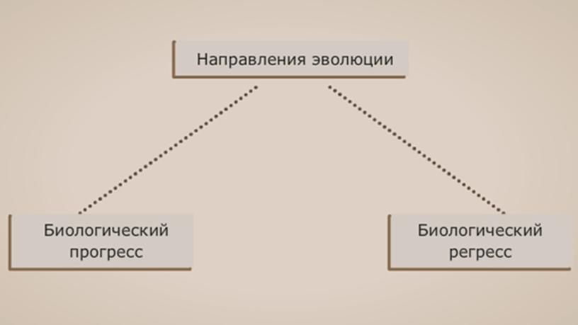 Презентация по теме: "Макро и микроэволюция"