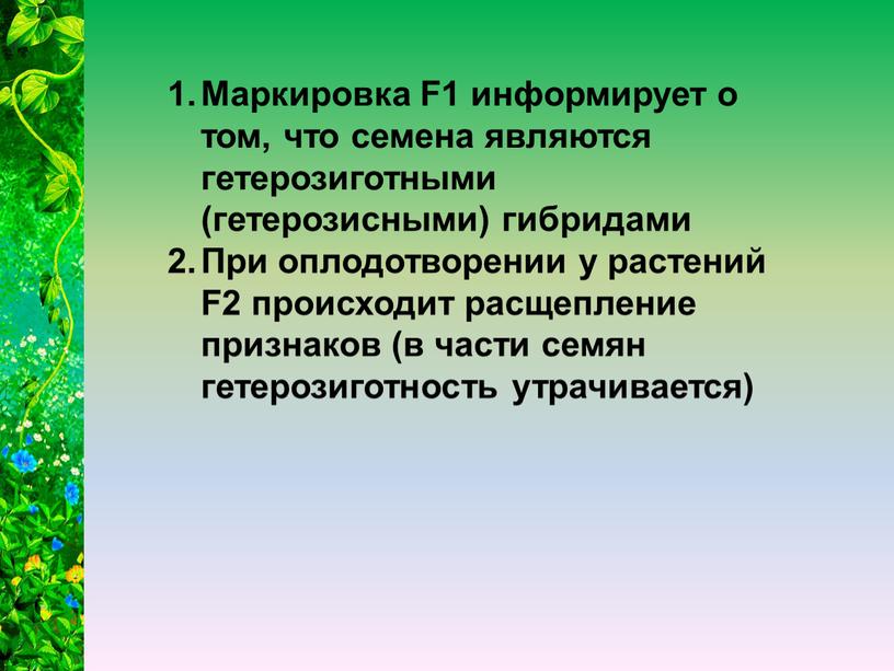 Маркировка F1 информирует о том, что семена являются гетерозиготными (гетерозисными) гибридами