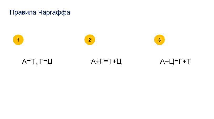 Правила Чаргаффа А=Т, Г=Ц А+Г=Т+Ц