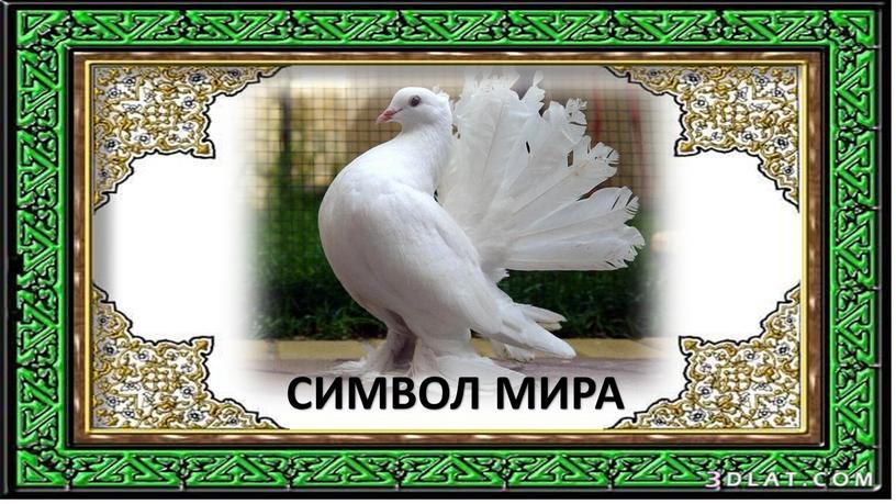 СИМВОЛ МИРА