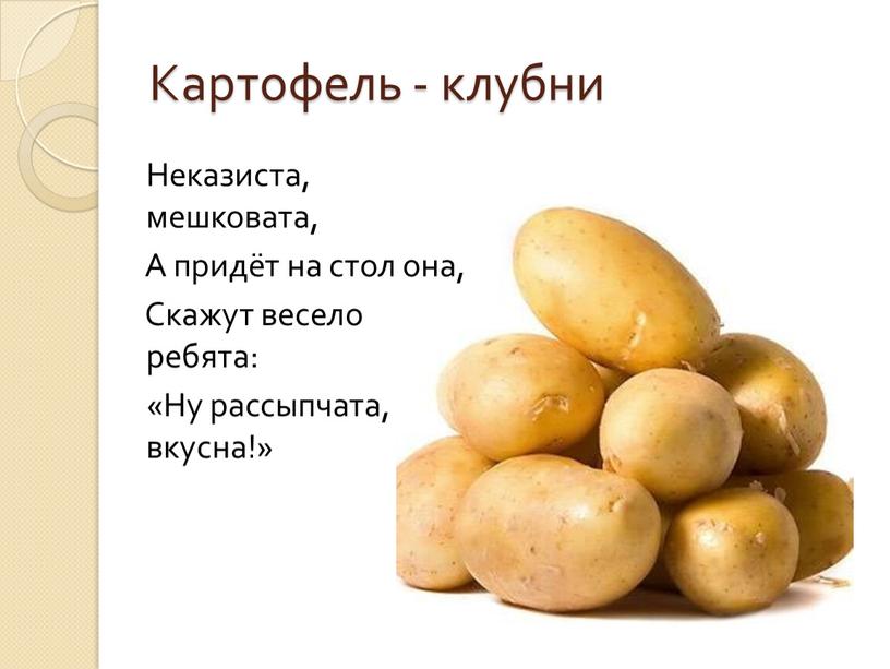 Картофель - клубни Неказиста, мешковата,