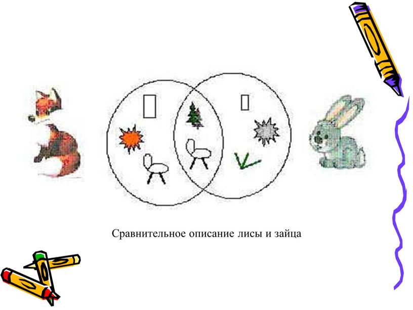 Сравнительное описание лисы и зайца