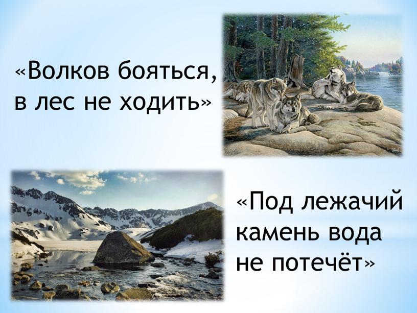 Волков бояться, в лес не ходить» «Под лежачий камень вода не потечёт»