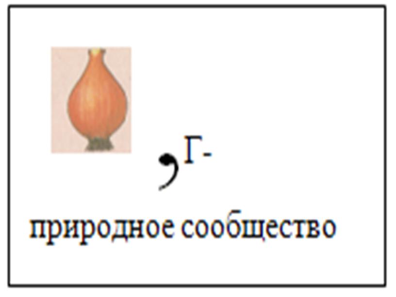 Презентация "Жизнь луга"