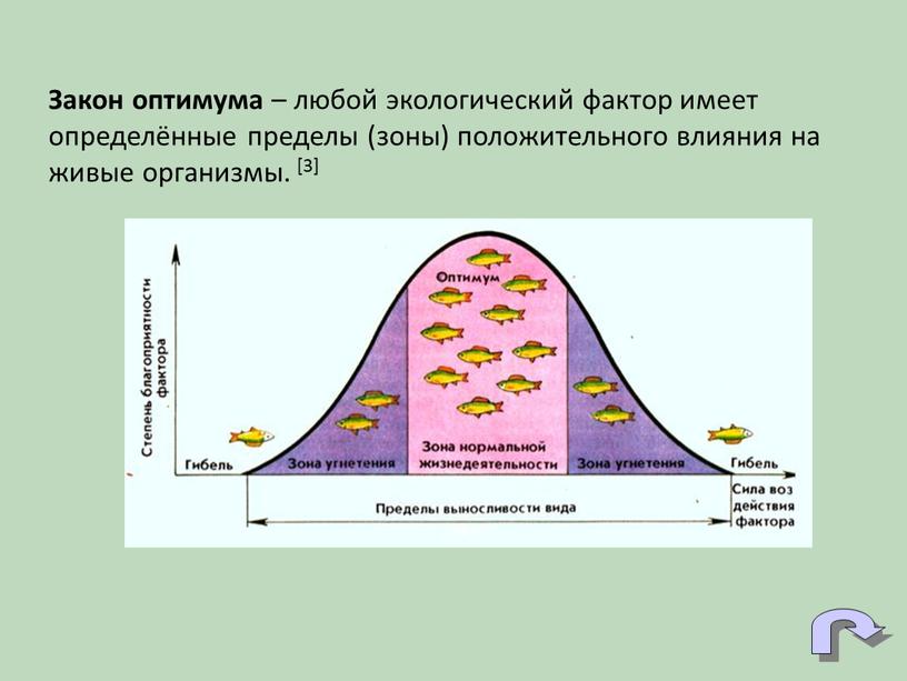 Закон оптимума – любой экологический фактор имеет определённые пределы (зоны) положительного влияния на живые организмы