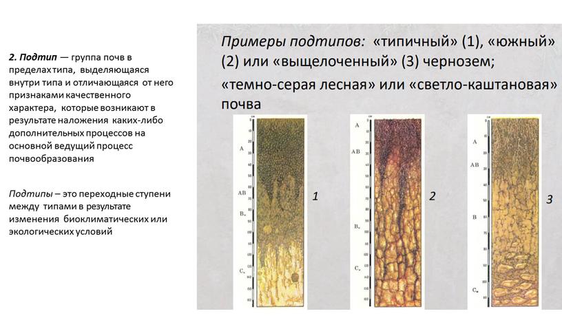 Подтип — группа почв в пределах типа, выделяющаяся внутри типа и отличающаяся от него признаками качественного характера, которые возникают в результате наложения каких-либо дополнительных процессов…