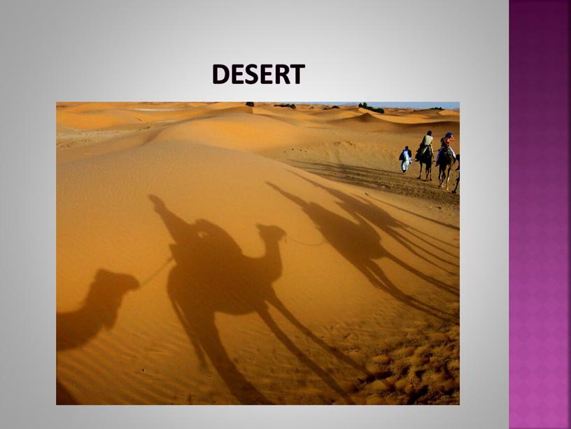 desert