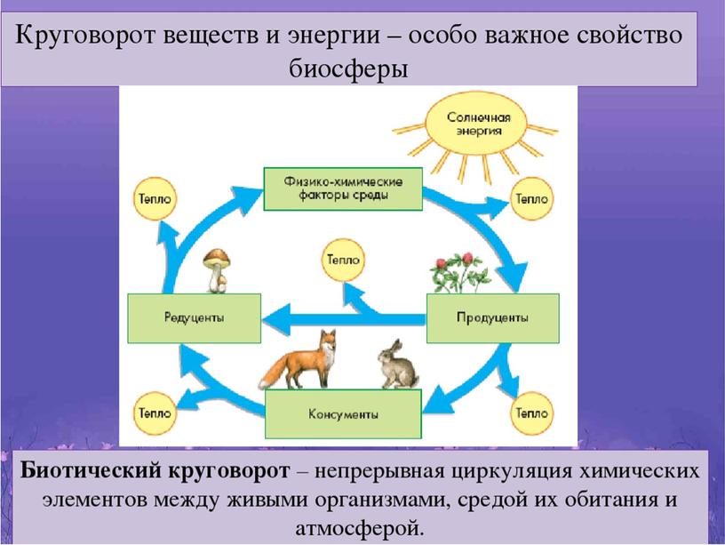 Презентация по теме "Биосфера"