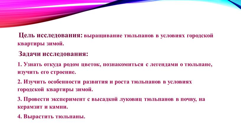 Цель исследования: выращивание тюльпанов в условиях городской квартиры зимой