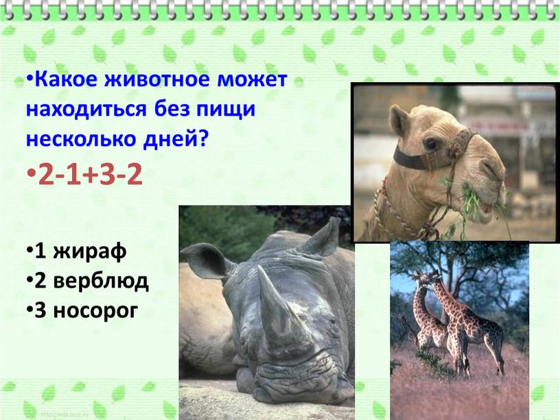 Какое животное может находиться без пищи несколько дней? 2-1+3-2 1 жираф 2 верблюд 3 носорог