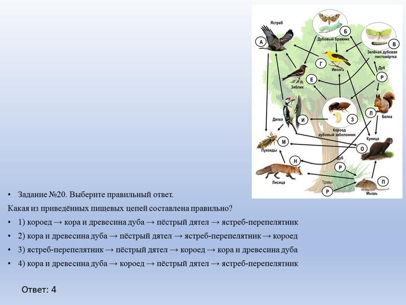 Задание №20. Выберите правильный ответ