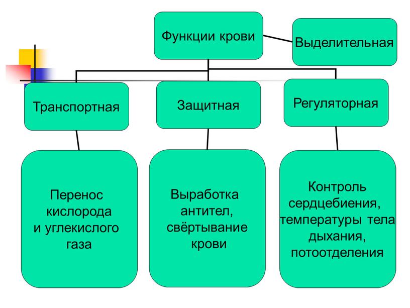 Технологическая карта урока окружающего мира на тему "Кровеносная система человека" (4 класс)