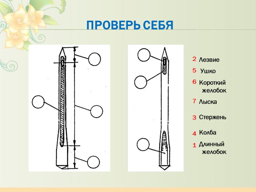 Проверь себя 1 2 3 4 7 6 5