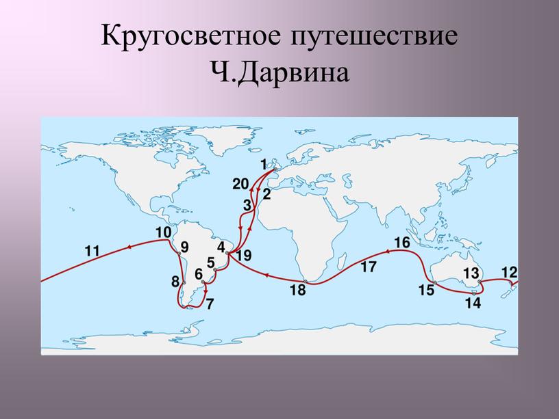 Кругосветное путешествие Ч.Дарвина