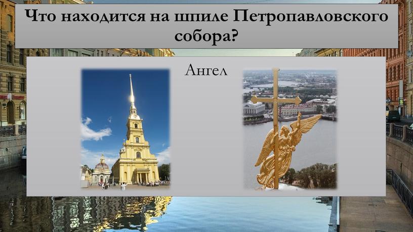 Что находится на шпиле Петропавловского собора?