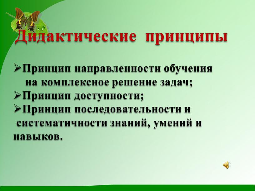 Дидактические принципы Принцип направленности обучения на комплексное решение задач;