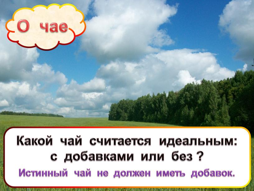 О чае Какой чай считается идеальным: с добавками или без ?