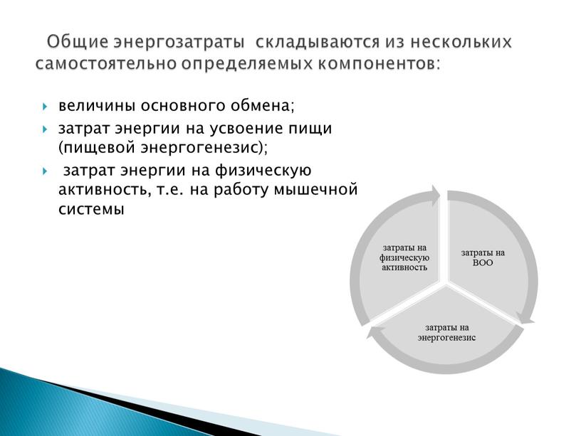 Общие энергозатраты складываются из нескольких самостоятельно определяемых компонентов: