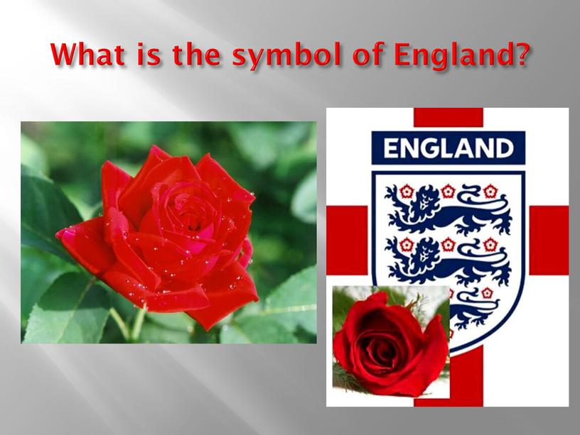What is the symbol of England?