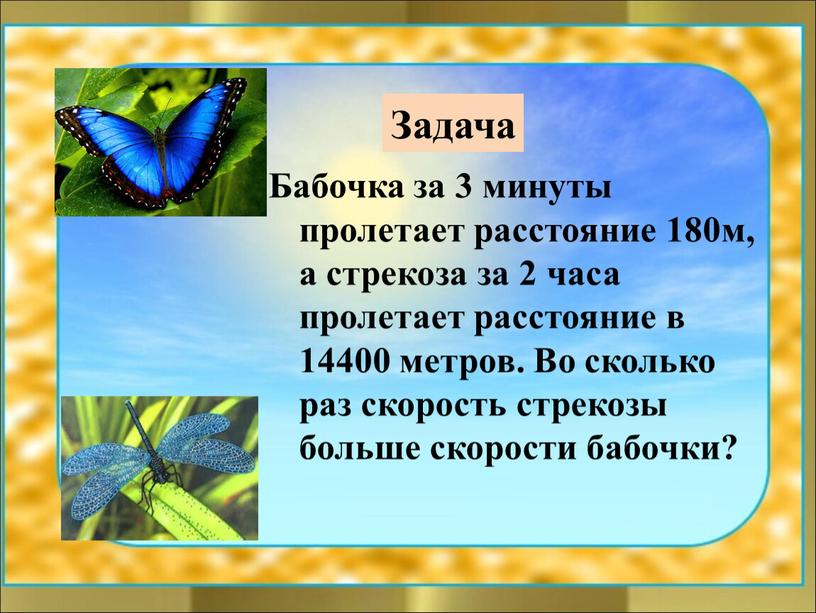 Задача Бабочка за 3 минуты пролетает расстояние 180м, а стрекоза за 2 часа пролетает расстояние в 14400 метров