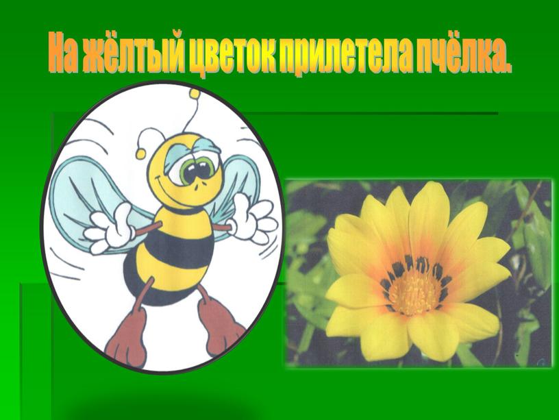 На жёлтый цветок прилетела пчёлка