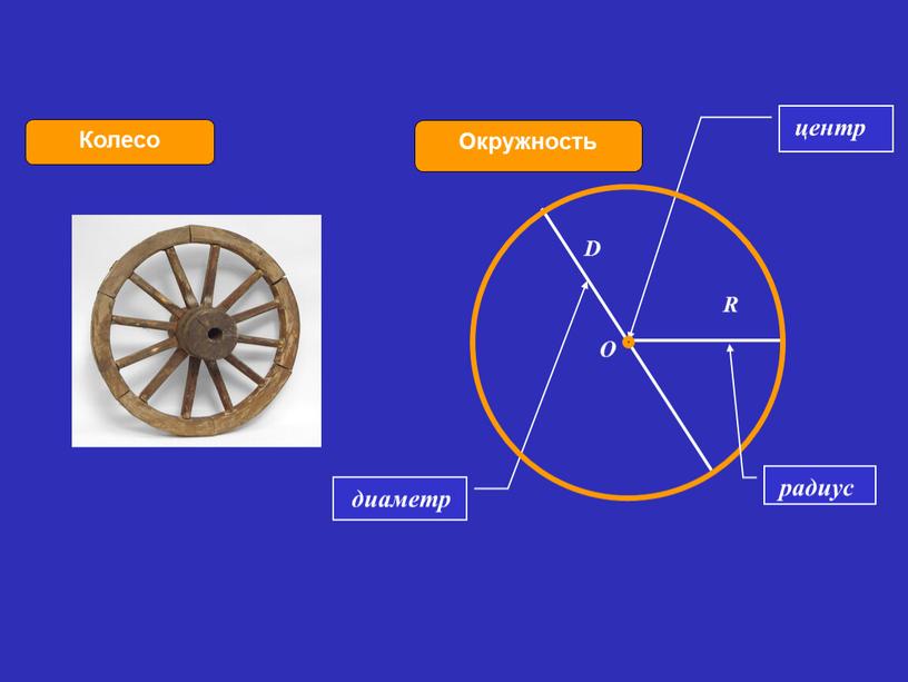 Окружность Колесо центр R D