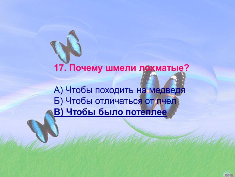 Почему шмели лохматые? А) Чтобы походить на медведя