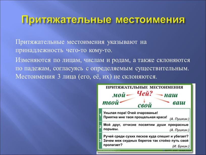 Притяжательные местоимения Притяжательные местоимения указывают на принадлежность чего-то кому-то