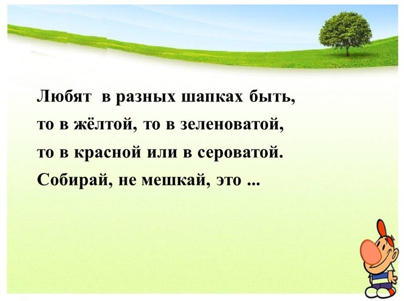 Любят в разных шапках быть, то в жёлтой, то в зеленоватой, то в красной или в сероватой