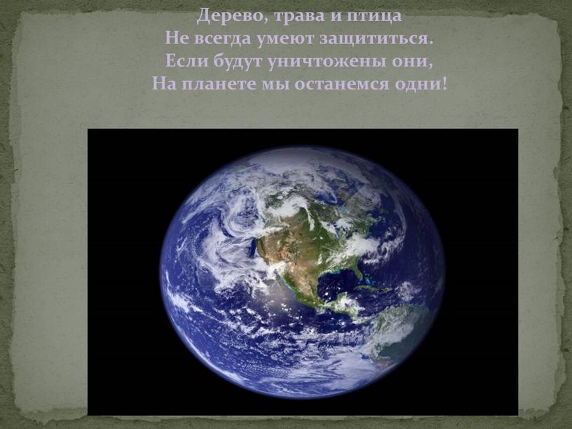 Дерево, трава и птица Не всегда умеют защититься