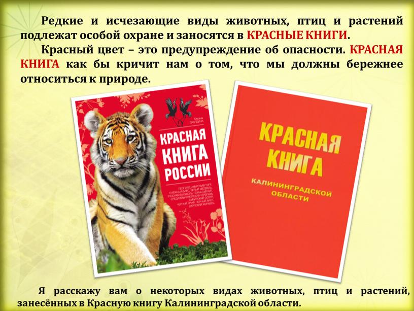 Редкие и исчезающие виды животных, птиц и растений подлежат особой охране и заносятся в