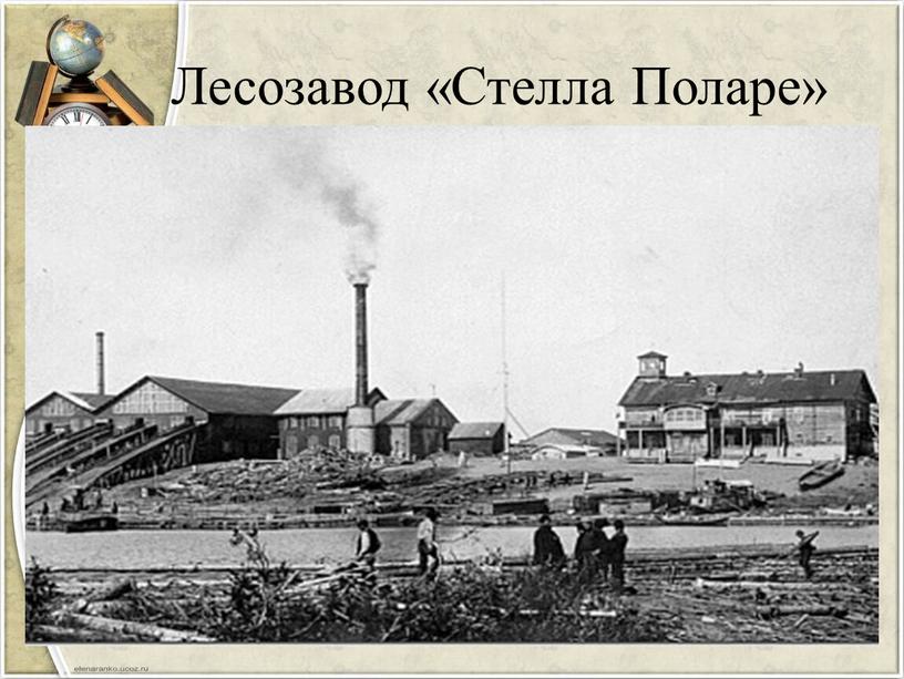 Лесозавод «Стелла Поларе»