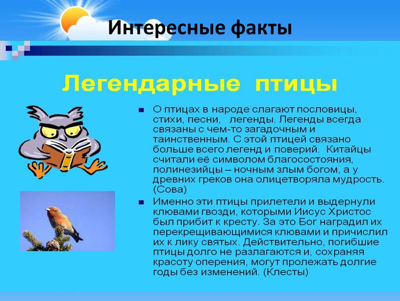 Интересные факты