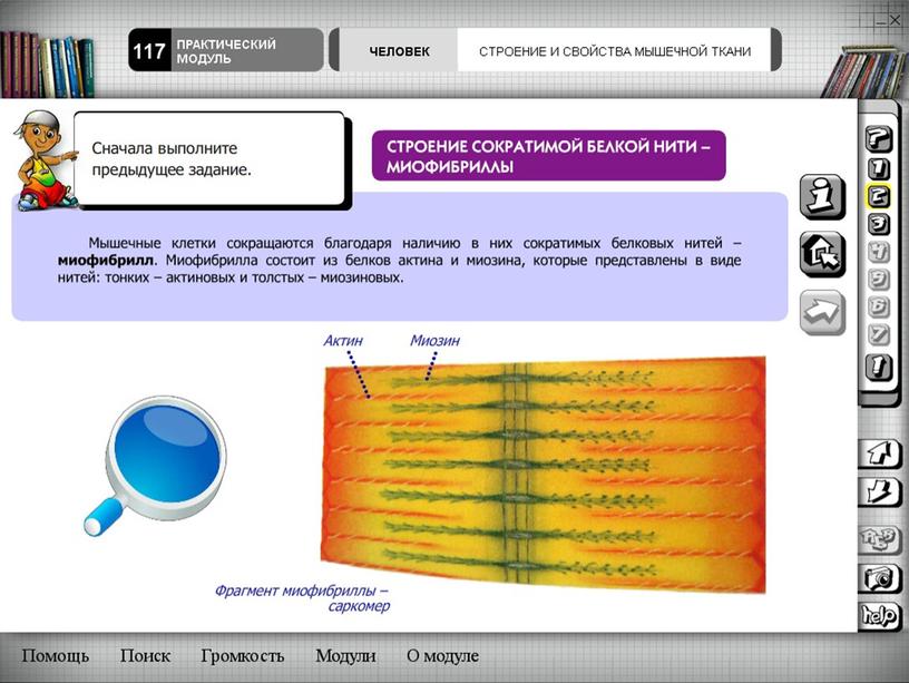 Методы развития познавательной деятельности учащихся