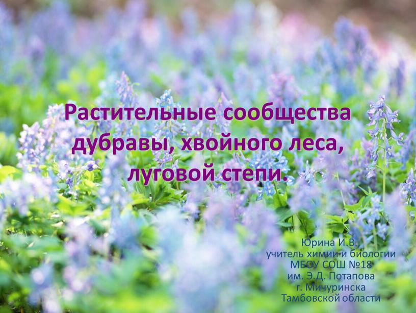 Растительные сообщества дубравы, хвойного леса, луговой степи