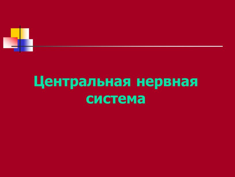 Центральная нервная система