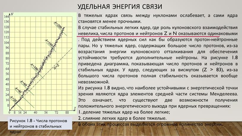 Удельная энергия связи В тяжелых ядрах связь между нуклонами ослабевает, а сами ядра становятся менее прочными